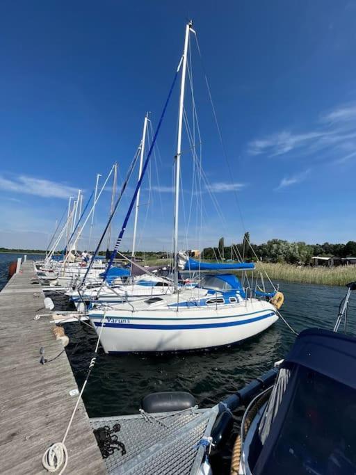 Haus Bernsteinsee Mit Goitzsche-Schnuppersegeln Friedersdorf  ภายนอก รูปภาพ